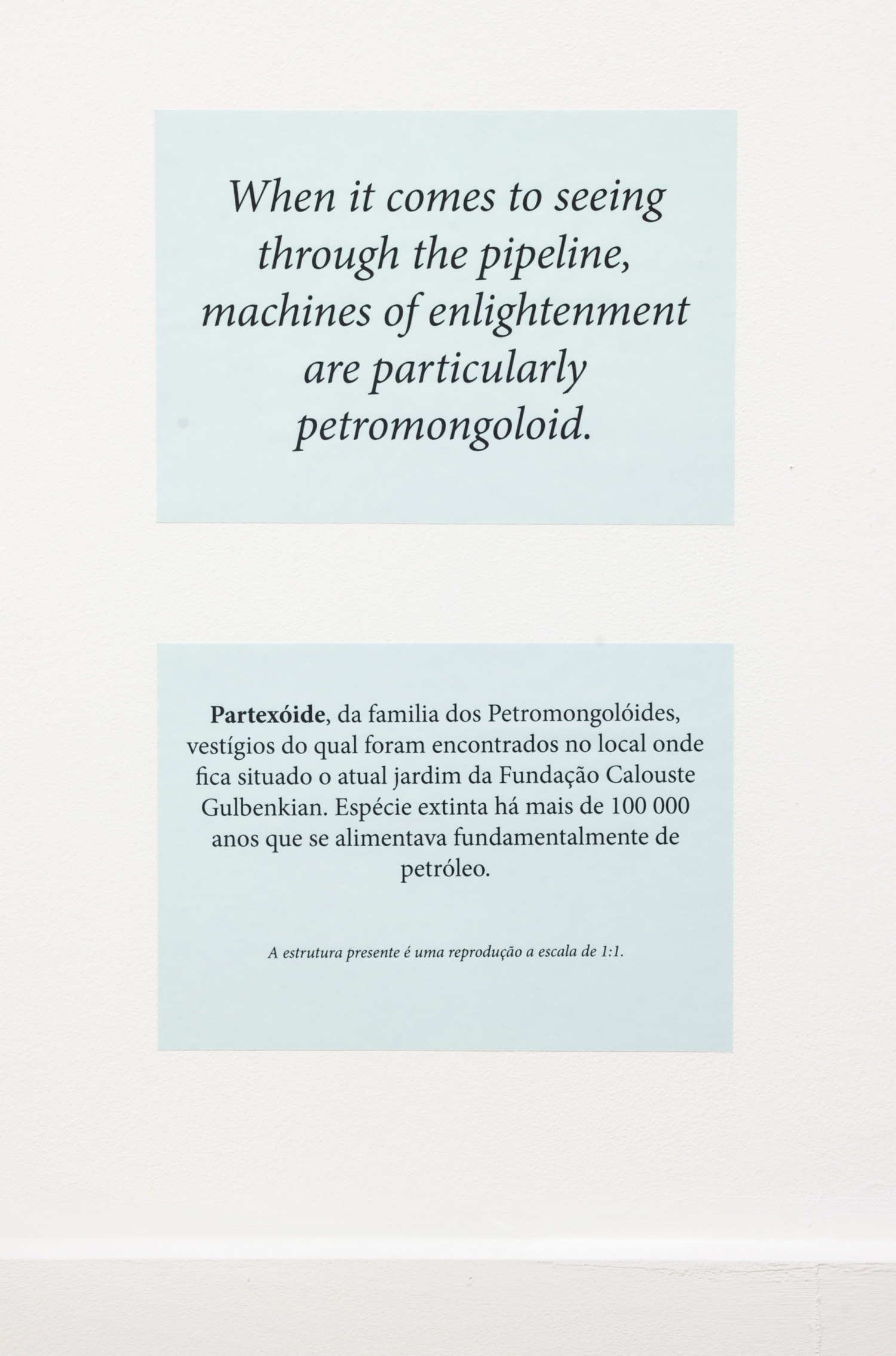 Partexoide was member of the family of Petro-Mongoloidus remains of which 
were found at the garden of Calouste Gulbenkian Foundation. Oil was the main 
nourishment of this specie extinguished 100 000 years ago.
